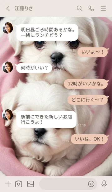 [LINE着せ替え] 可愛いマルチーズ犬 W9ryVの画像3