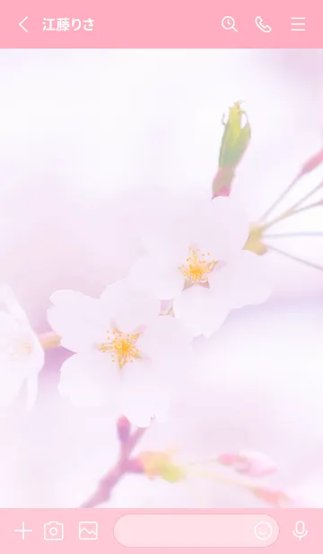 [LINE着せ替え] Sakura Photo 248 Not AIの画像2