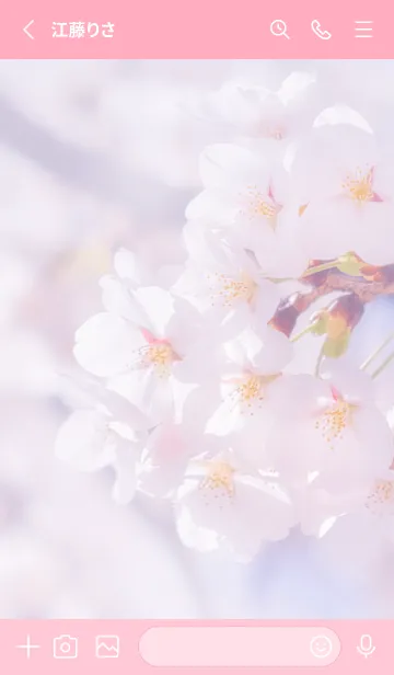 [LINE着せ替え] Sakura Photo 249 Not AIの画像2