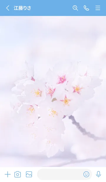 [LINE着せ替え] Sakura Photo 250 Not AIの画像2