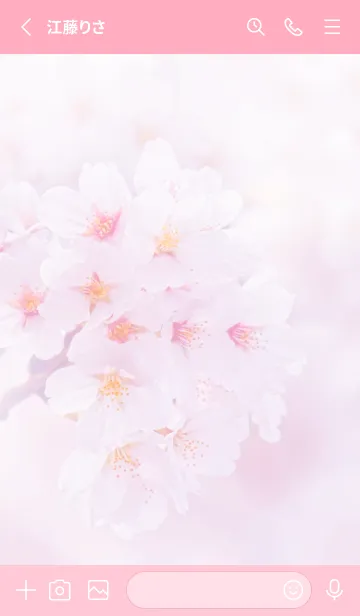 [LINE着せ替え] Real cherry blossom #3-4の画像2