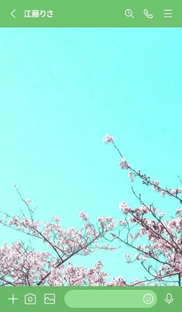 [LINE着せ替え] 幸せ桜と青空の着せかえ/グリーンの画像2