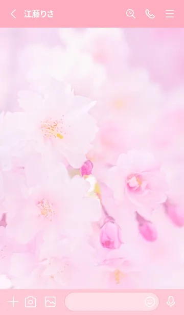 [LINE着せ替え] Real double cherry blossom #5-4の画像2