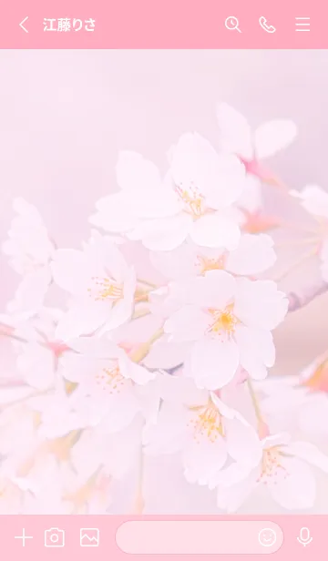 [LINE着せ替え] Sakura Photo 255 Not AIの画像2