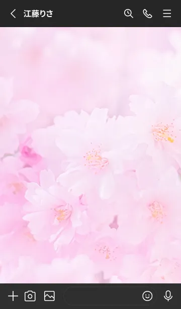 [LINE着せ替え] Real double cherry blossom #6-4の画像2