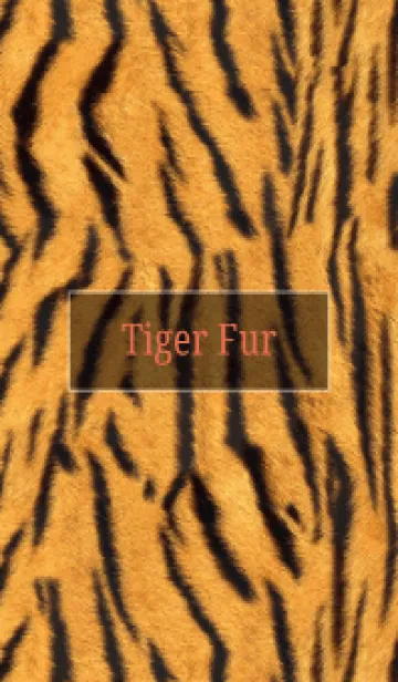 [LINE着せ替え] Tiger Fur 19の画像1