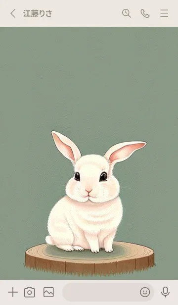 [LINE着せ替え] ふわふわのうさぎ 兔の画像2