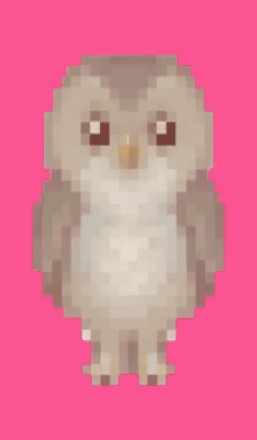 [LINE着せ替え] フクロウのドット絵のきせかえ Pink 01の画像1