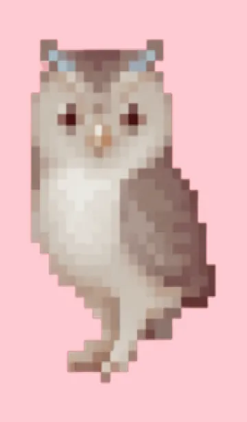 [LINE着せ替え] フクロウのドット絵のきせかえ Pink 03の画像1