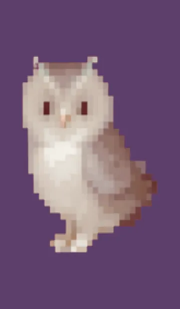 [LINE着せ替え] フクロウのドット絵のきせかえ Purple 05の画像1