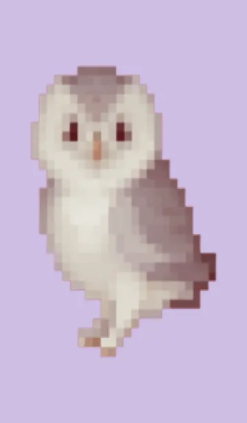 [LINE着せ替え] フクロウのドット絵のきせかえ Purple 04の画像1