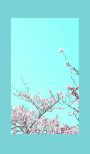 [LINE着せ替え] 幸せ桜と青空の着せかえ/ミントグリーンの画像1