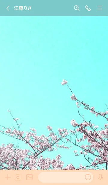 [LINE着せ替え] 幸せ桜と青空の着せかえ/ミントグリーンの画像2