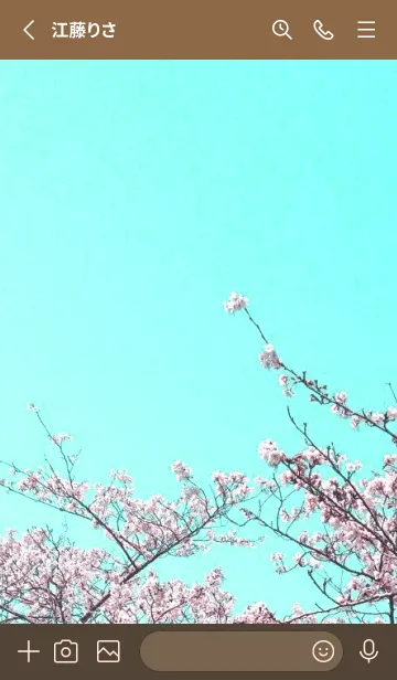 [LINE着せ替え] 幸せ桜と青空の着せかえ/ブラウンの画像2