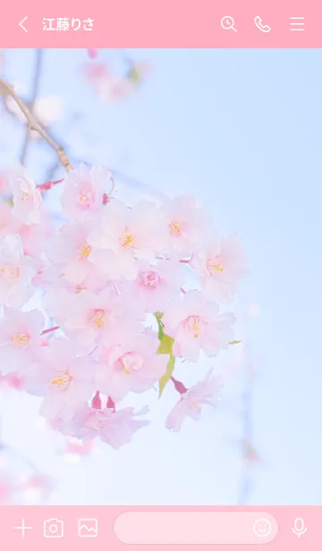 [LINE着せ替え] Real double cherry blossom #8-4の画像2