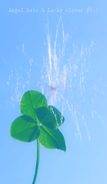 [LINE着せ替え] Angel hair & Lucky clover #3-7の画像1