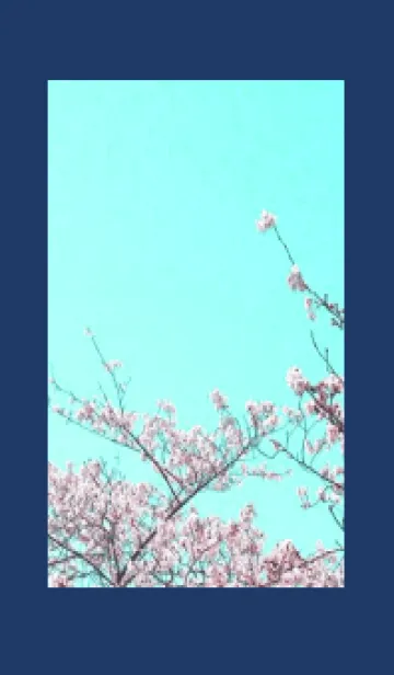 [LINE着せ替え] 幸せ桜と青空の着せかえ/ネイビーブルーの画像1