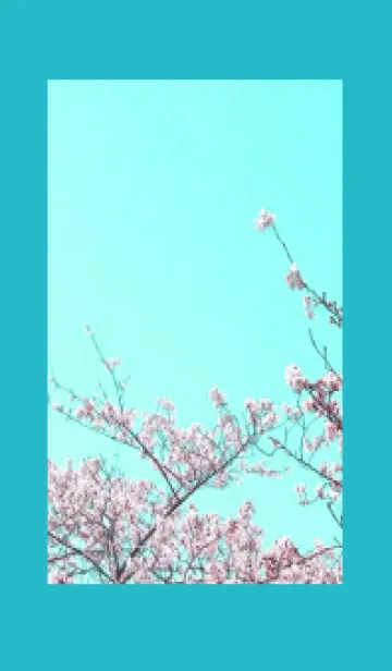 幸せ桜と青空の着せかえ/ターコイズブルーの着せ替えメイン画像