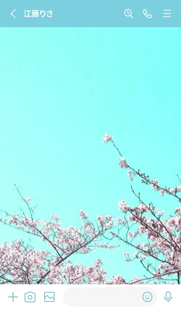 [LINE着せ替え] 幸せ桜と青空の着せかえ/ターコイズブルーの画像2