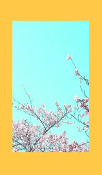 [LINE着せ替え] 幸せ桜と青空の着せかえ/オレンジの画像1