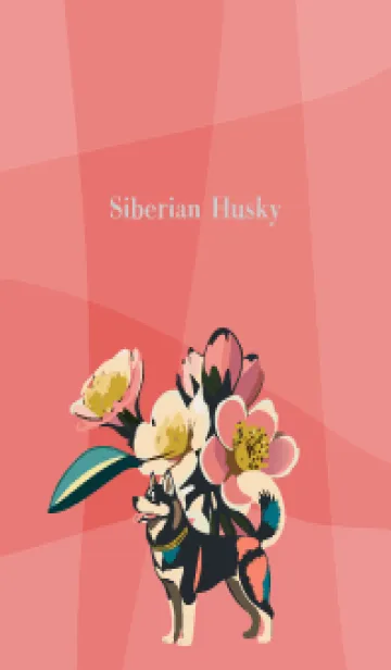 [LINE着せ替え] red 桜とシベリアンハスキーの画像1