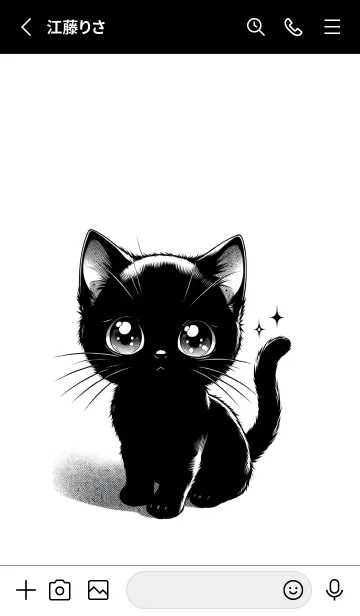 [LINE着せ替え] 小さな宇宙を見つめる黒い仔猫の画像2