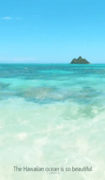 [LINE着せ替え] Hawaiian ocean is so beautiful-shell- 12の画像1