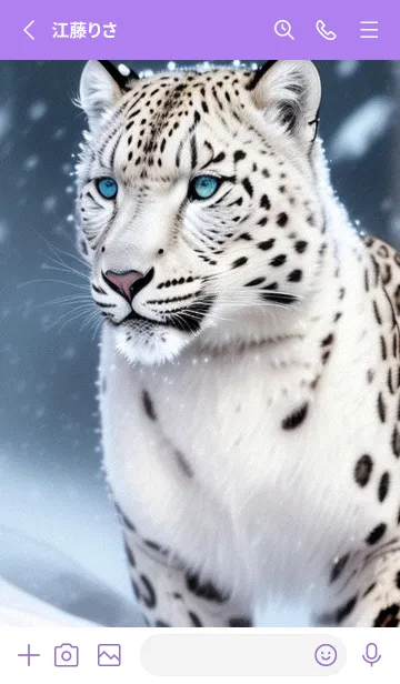 [LINE着せ替え] 夢幻の白いスノーヒョウ UrqJ2の画像2