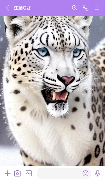 [LINE着せ替え] 夢幻の白いスノーヒョウ 16LgWの画像2