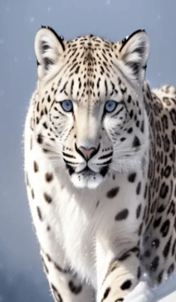 [LINE着せ替え] 夢幻の白いスノーヒョウ LFiwFの画像1