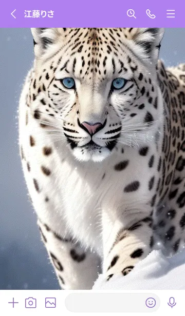 [LINE着せ替え] 夢幻の白いスノーヒョウ LFiwFの画像2