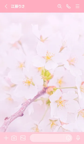 [LINE着せ替え] Sakura Photo 268 Not AIの画像2