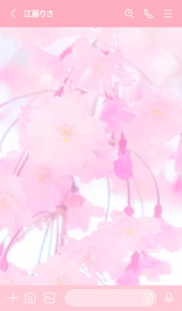 [LINE着せ替え] Sakura Photo 270 Not AIの画像2