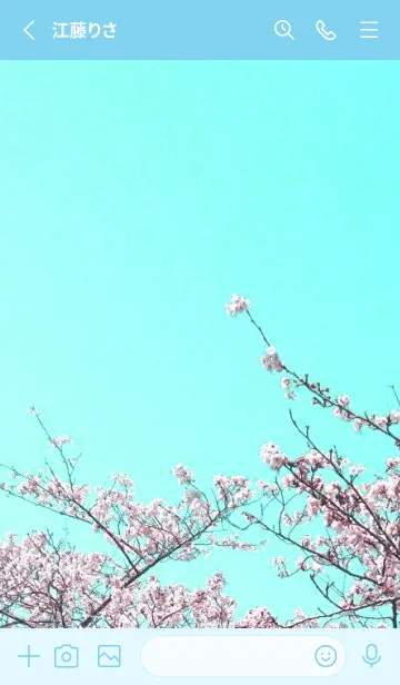 [LINE着せ替え] 幸せ桜と青空の着せかえ/ライトブルーの画像2