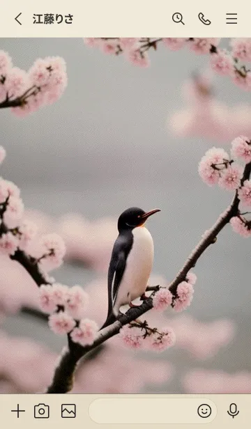 [LINE着せ替え] 浮世絵桜の季節 ogvj4の画像2