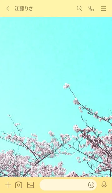 [LINE着せ替え] 幸せ桜と青空の着せかえ/ライトイエローの画像2