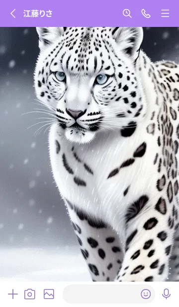 [LINE着せ替え] 夢幻の白いスノーヒョウ CMkKEの画像2