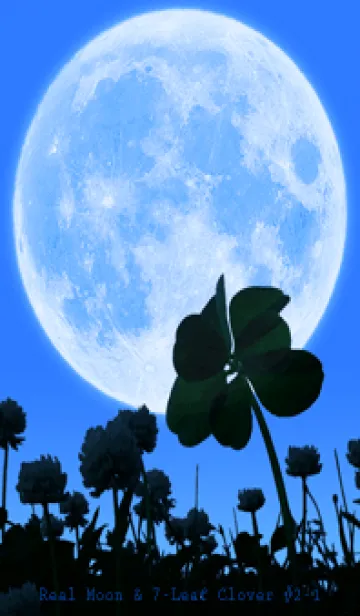 [LINE着せ替え] Real Moon & 7-Leaf Clover #2-1の画像1