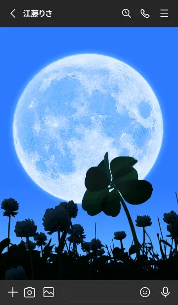 [LINE着せ替え] Real Moon & 7-Leaf Clover #2-1の画像2