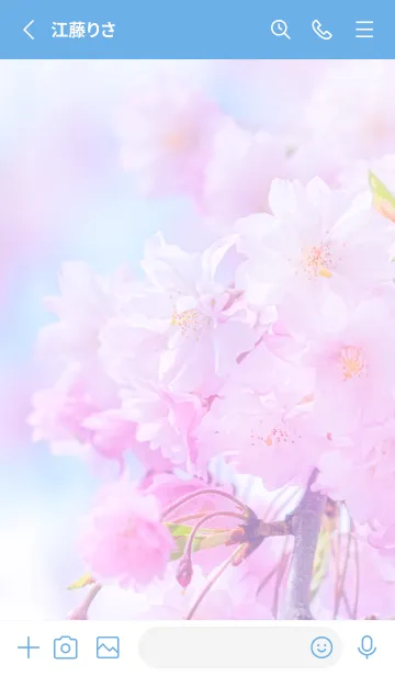 [LINE着せ替え] Sakura Photo 278 Not AIの画像2