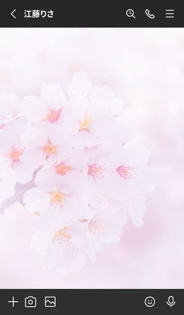 [LINE着せ替え] Real cherry blossom #3-5の画像2