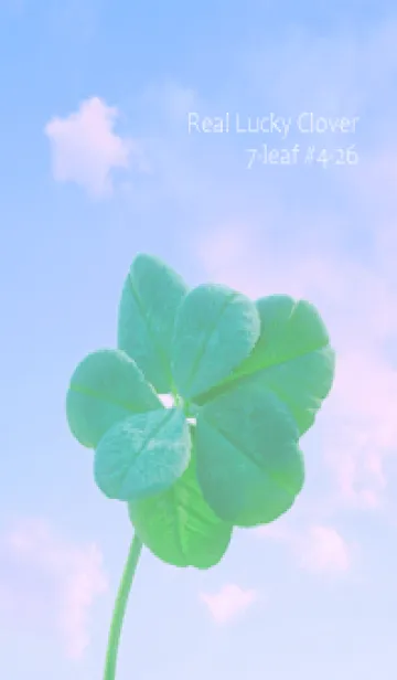 [LINE着せ替え] 本物ラッキークローバー 7-leaf #4-26の画像1