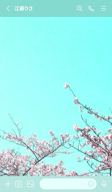 [LINE着せ替え] 幸せ桜と青空/ライトミントグリーンの画像2