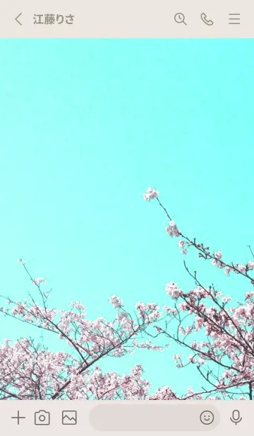 [LINE着せ替え] 幸せ桜と青空の着せかえ/ライトブラウンの画像2