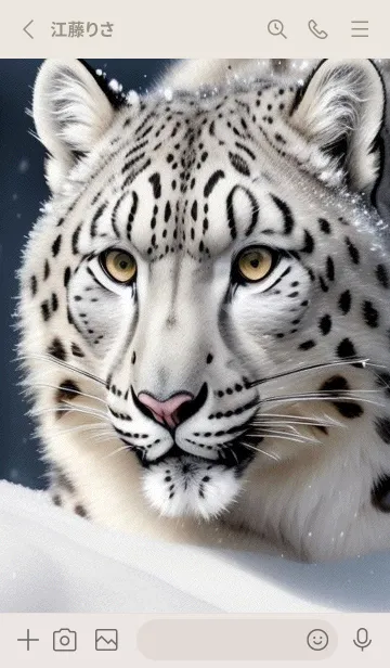 [LINE着せ替え] 夢幻の白いスノーヒョウ EzUNの画像2