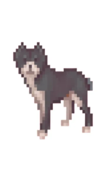 [LINE着せ替え] 黒い犬のドット絵のきせかえ BW 03の画像1