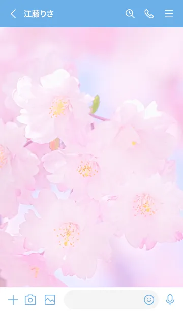 [LINE着せ替え] Sakura Photo 280 Not AIの画像2