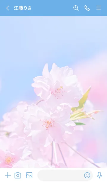 [LINE着せ替え] Sakura Photo 282 Not AIの画像2