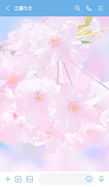 [LINE着せ替え] Sakura Photo 283 Not AIの画像2