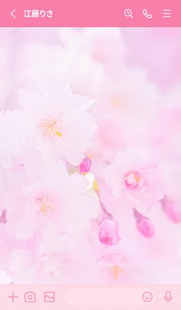 [LINE着せ替え] Real double cherry blossom #5-5の画像2